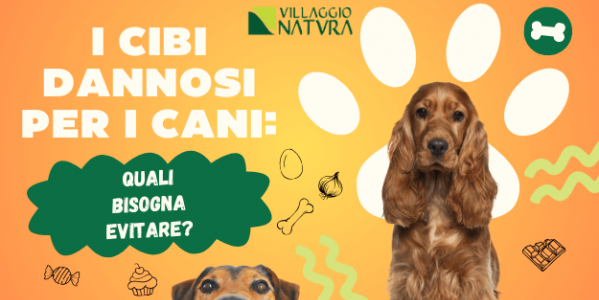 I cibi dannosi per i cani: quali sono?